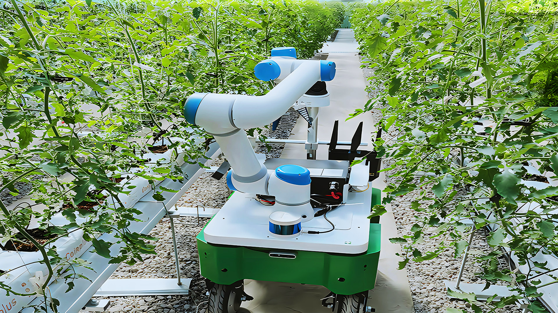 智能农业采摘机器人介绍