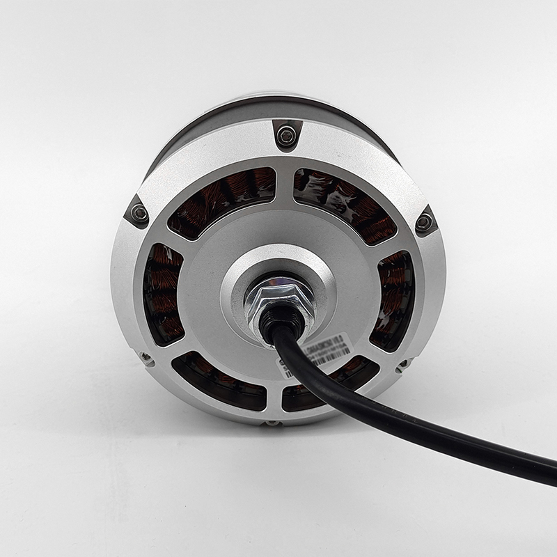 Zhongling Technology 6.5-inch fitness equipment hub motor