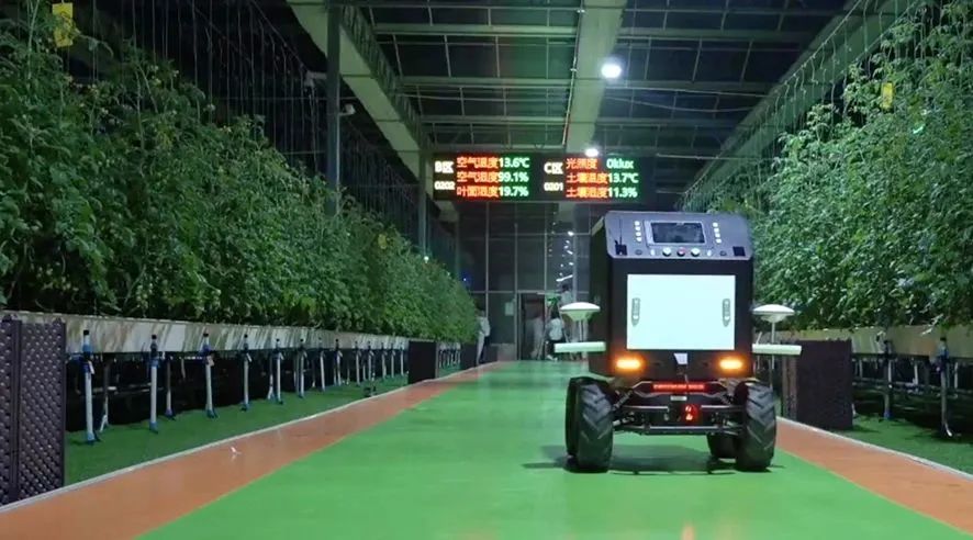 大棚巡检机器人.jpg